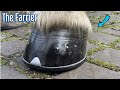 Horseshoeing   Rupert    [Farrier/Blacksmith]