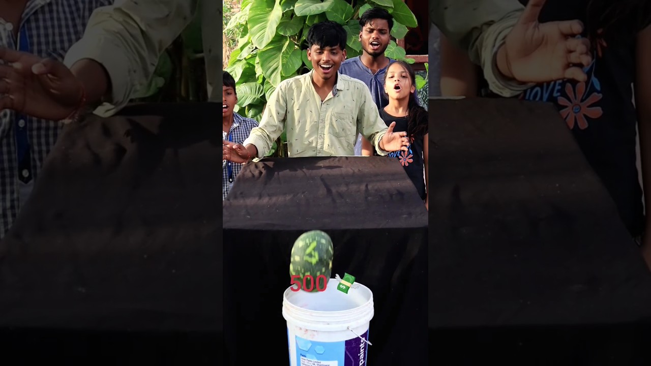 Pumpkin roll and Win 500$ Money Challenge 