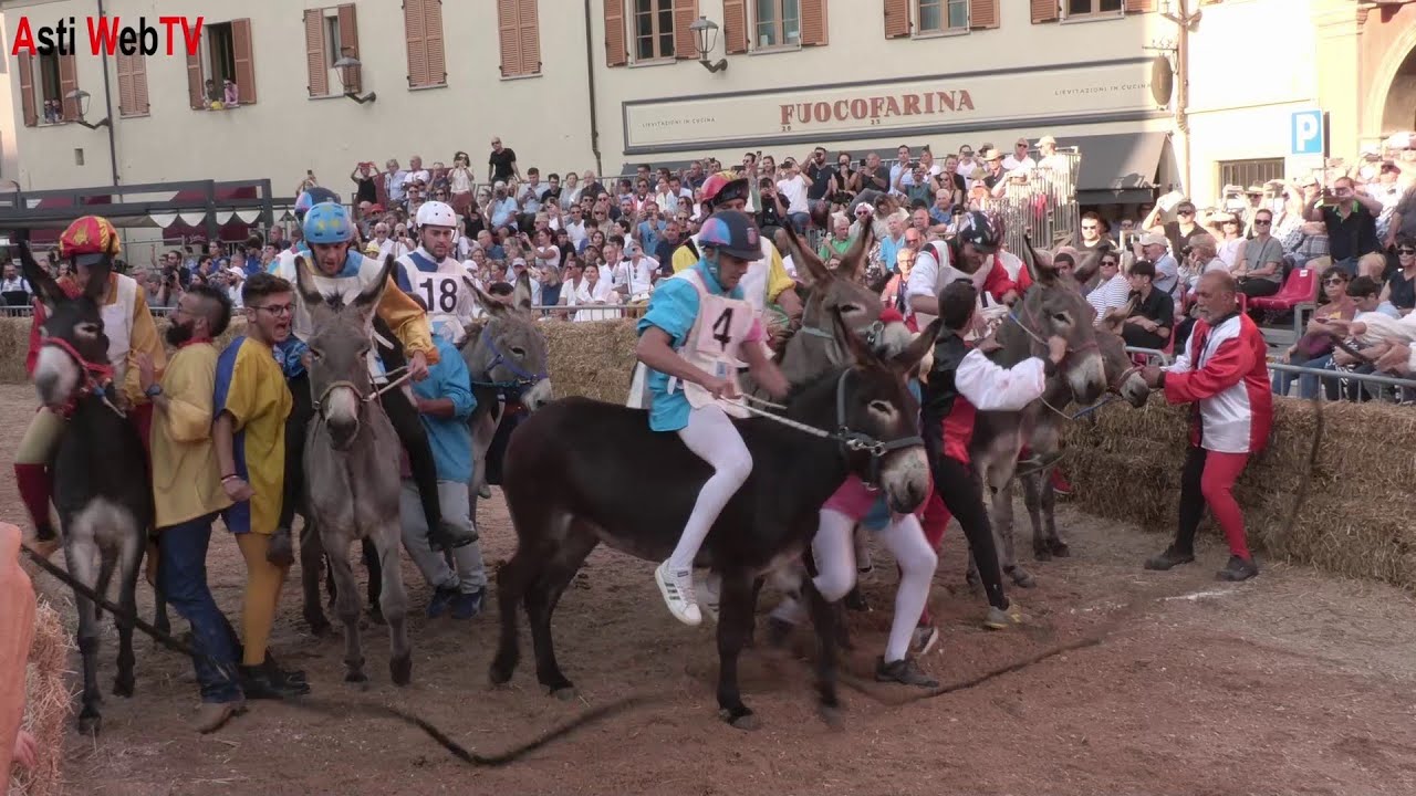 Il Palio degli Asini 2023 Attraverso gli Occhi dei Bambini
