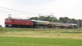 【配給輸送】 EF81-136+485系ジパング 蓮田～東大宮通過