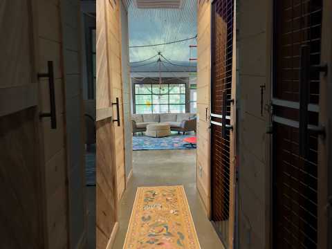 Tour Of All The Monkeys Space That They Have Access To All Day Everyday