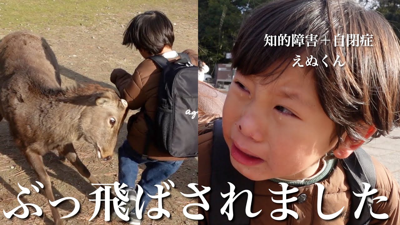 【衝撃映像!?】初詣に起こった悲劇…【奈良公園】