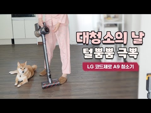 [LG전자 X 시바견니케] 대청소의 날, LG 코드제로 A9 <strong>청소기로</strong> 털뿜뿜 극복