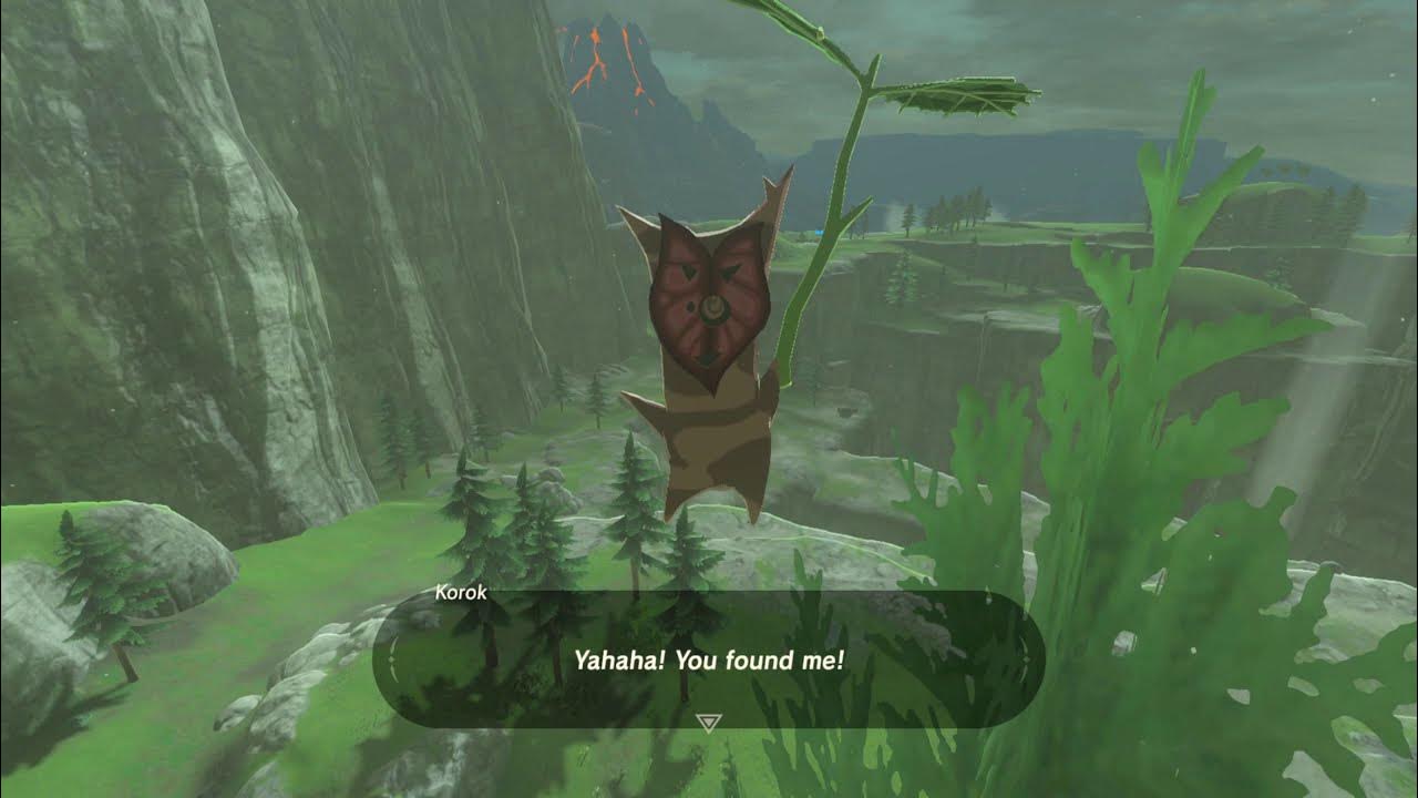 Korok seeds Ulria Grotto (South) Akkala Tower 5455 Zelda BOTW