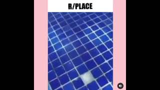 R/Place