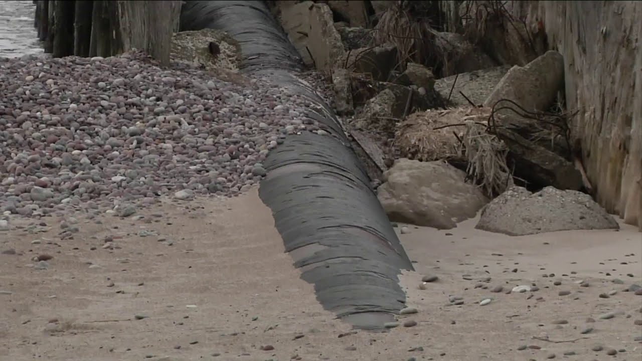 Gamtos inspektoriai (2021-01-08)