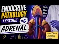 Endocrine Pathology #5: Adrenal 