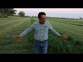 Entrevista a Productor del Cultivo de la Alfalfa en Chihuahua