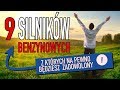 9 silników benzynowych, z których będziesz zadowolony - #136 TOP