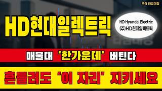 [HD현대일렉트릭 주가전망] 매물대 한가운데서 버티고 있습니다! 흔들려도 이 자리만은 지키세요 #HD현대일렉트릭 #HD현대일렉트릭주가 #HD현대일렉트릭주가전망
