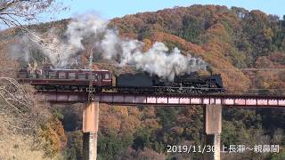 紅葉の秩父鉄道C58_363