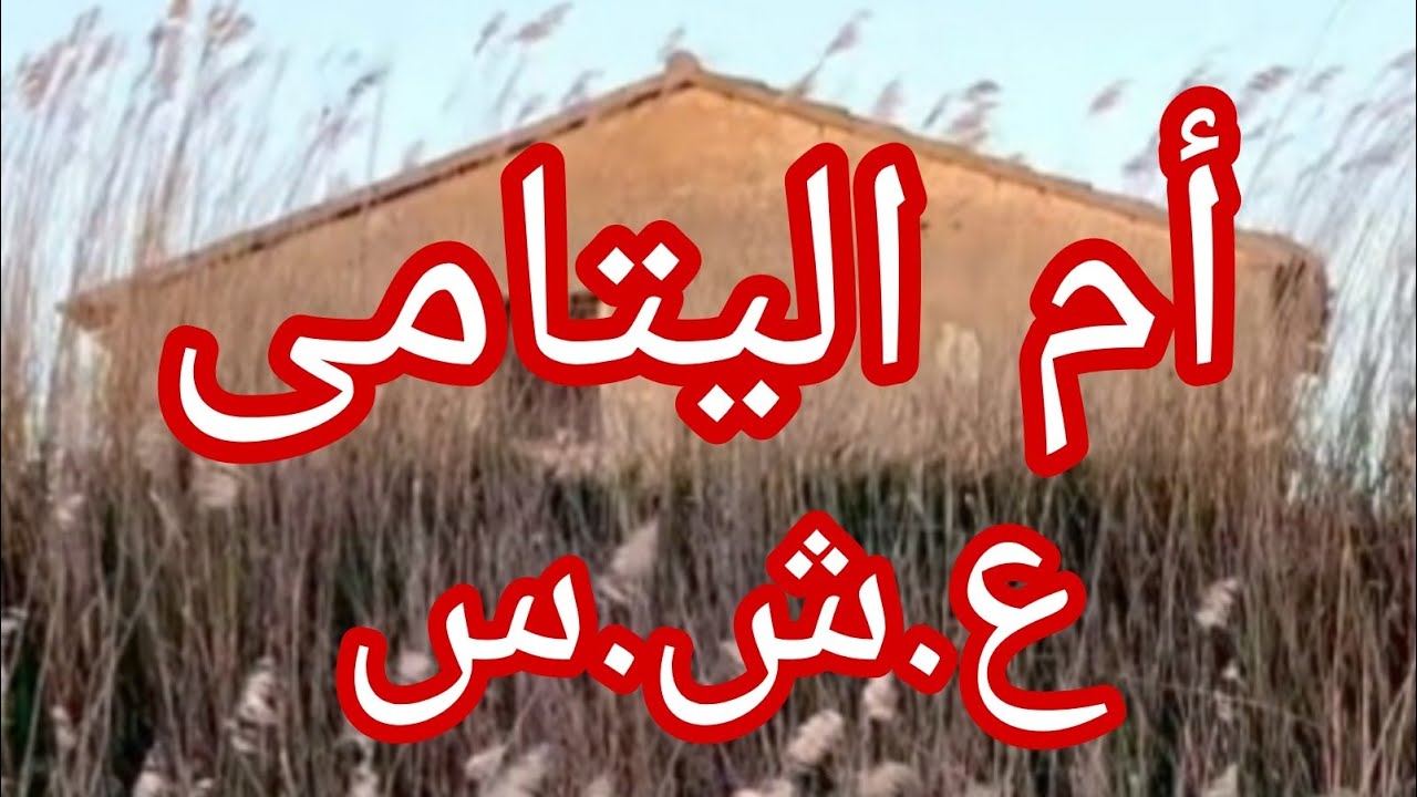 حكاية أم الخير ..
