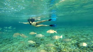 Top Things to do in Cozumel, Mexico