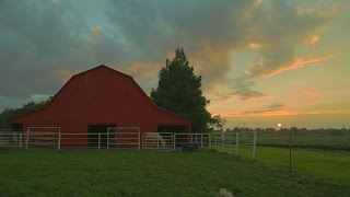 Back Road Barns