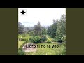 Lloro Si No Te Veo
