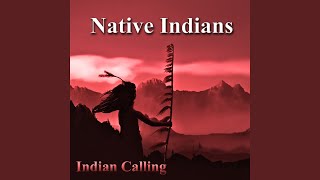 The Last of His Tribe (Native American Music)