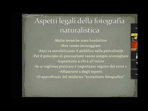 Video: Guida di volpe dell'animale domestico: legalità, cura e informazioni importanti