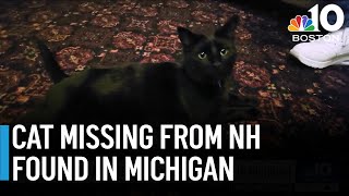 NH family reunited with cat found in Michigan