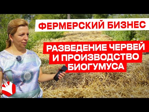 Видео: Фермерский бизнес | Разведение червей и производство биогумуса