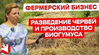 Фермерский бизнес | Разведение червей и производство биогумуса