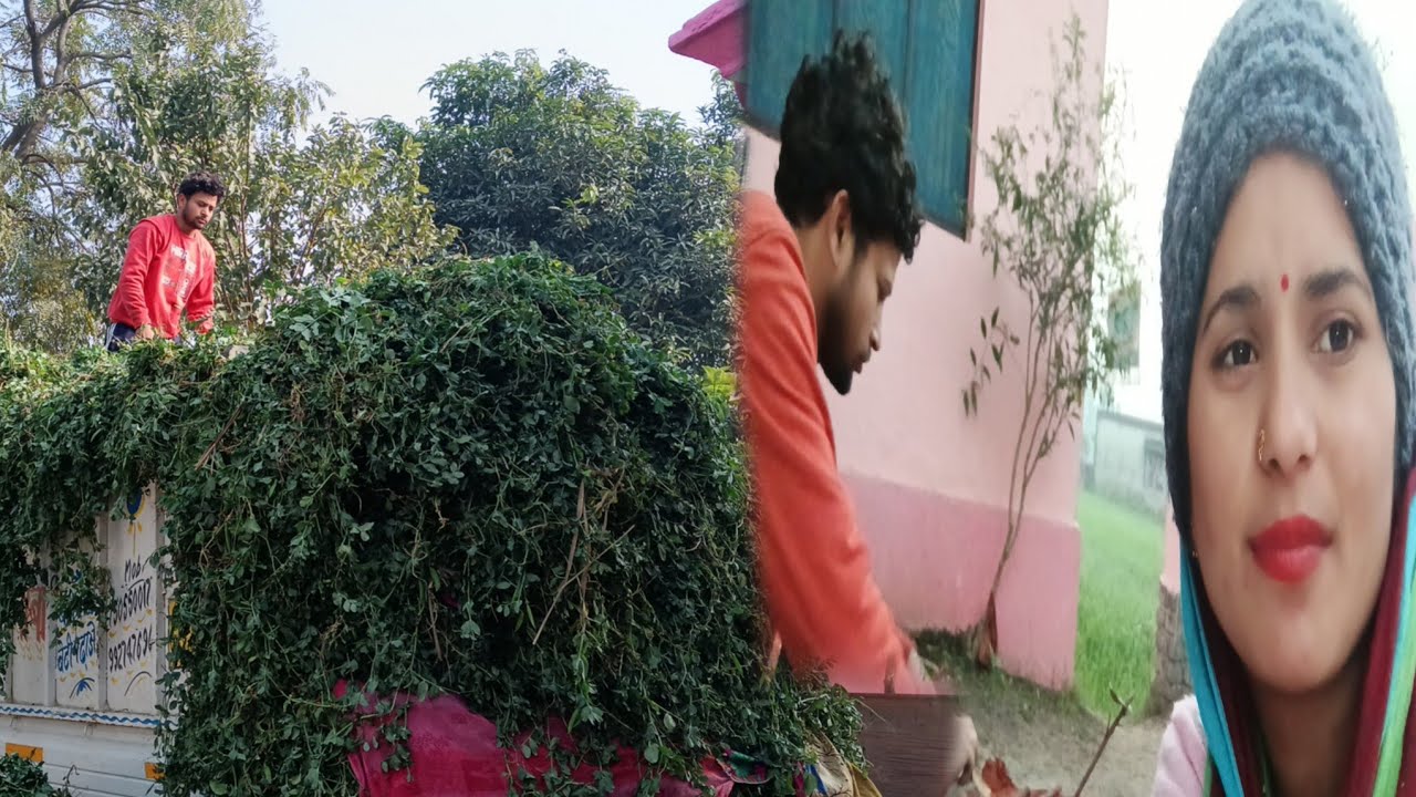 आज इतना सारा खास  कहा से आया 🤔...ll Suman Bisht vlogs ll 