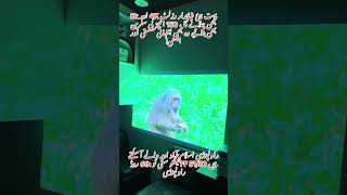 Ye Projector Sab Kuch Badal Deta Hai | Epson 1925W #Projector #ProjectorReview #OfficeProjector #4k