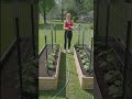 🥒 Build a Stunning Cucumber Arch!  #cucumbergarden #diygarden #gardeninghacks #growyourownfood