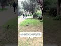 📍🇬🇷Rizari Park, Athens , Greece #pov #citymoments #natureinthecity #urbanwildlife #athens #parrot