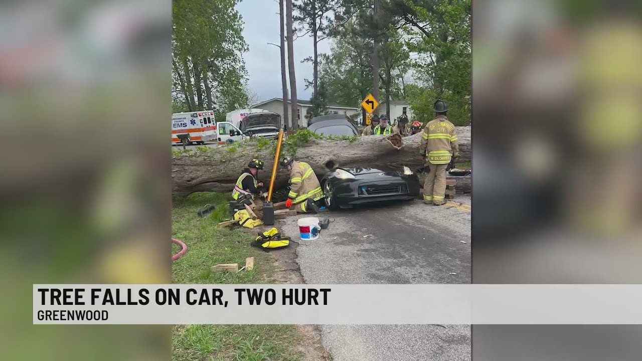 Tree falls on top of car, leaving 2 injured in Greenwood - YouTube