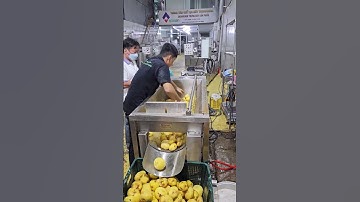 Máy rửa, cạo vỏ khoai tây, nông sản của Tech Garden. Liên hệ 0935911775 Trần Trinh.