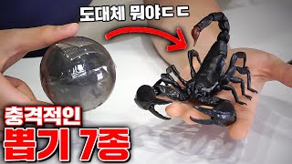 충격적인 뽑기 7종 리뷰 (가격이 더 충격ㅋㅋㅋㅋㅋㅋㅋ) [꾹TV]