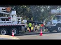 Y Intersection Traffic Check