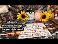 All Signs - What Are Their True Feelings For You Right Now? TIMESTAMPS in Description Box Below...