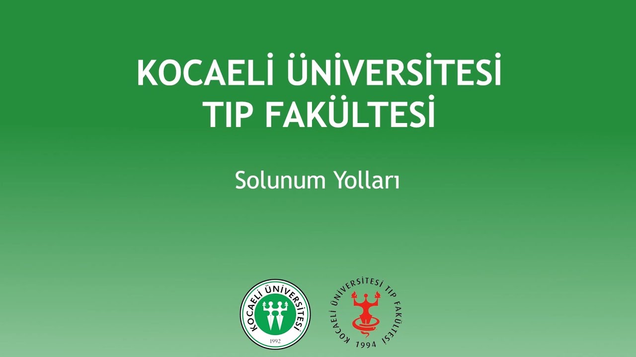 KOU Tıp Fakültesi Ders Videoları - Solunum Yolları