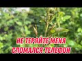 Не теряйте меня | сломался телефон