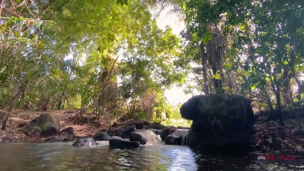 Sítio com rio corrente em Santo Antonio Jesus - BA