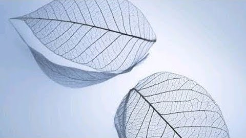 1.1 CAO | Introduction to Computer Architecture and Organization #computerarchitecture #coa #shorts