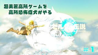 【超美麗】ゼルダの伝説　ティアーズオブキングダム【超高所】＃１