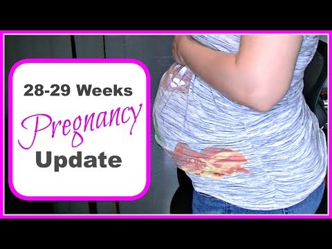 pregnancy-update:-weeks-28-29-|-exhaustion,-pain,-dizziness