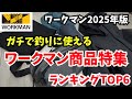 【2025年ワークマン】釣りで使えるアイテムランキング