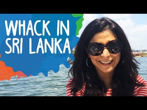 Vídeo: Como Voar De Moscou Para O Sri Lanka
