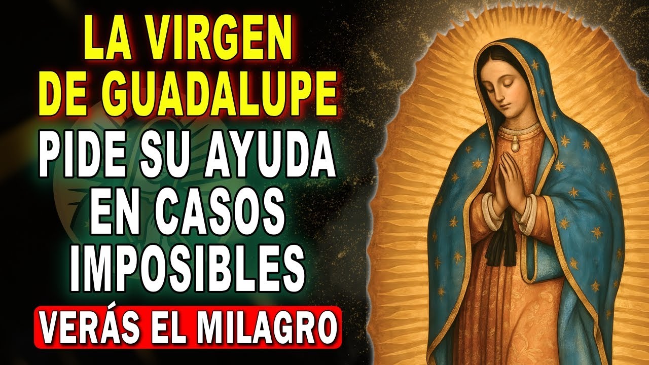 🌹HAZ ESTA ORACIÓN A LA VIRGEN DE GUADALUPE Y ELLA TE PROTEGERÁ DE TODO MAL Y PELIGRO 🙏