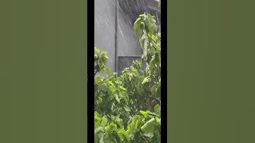 سورة النازعات بصوت هادئ