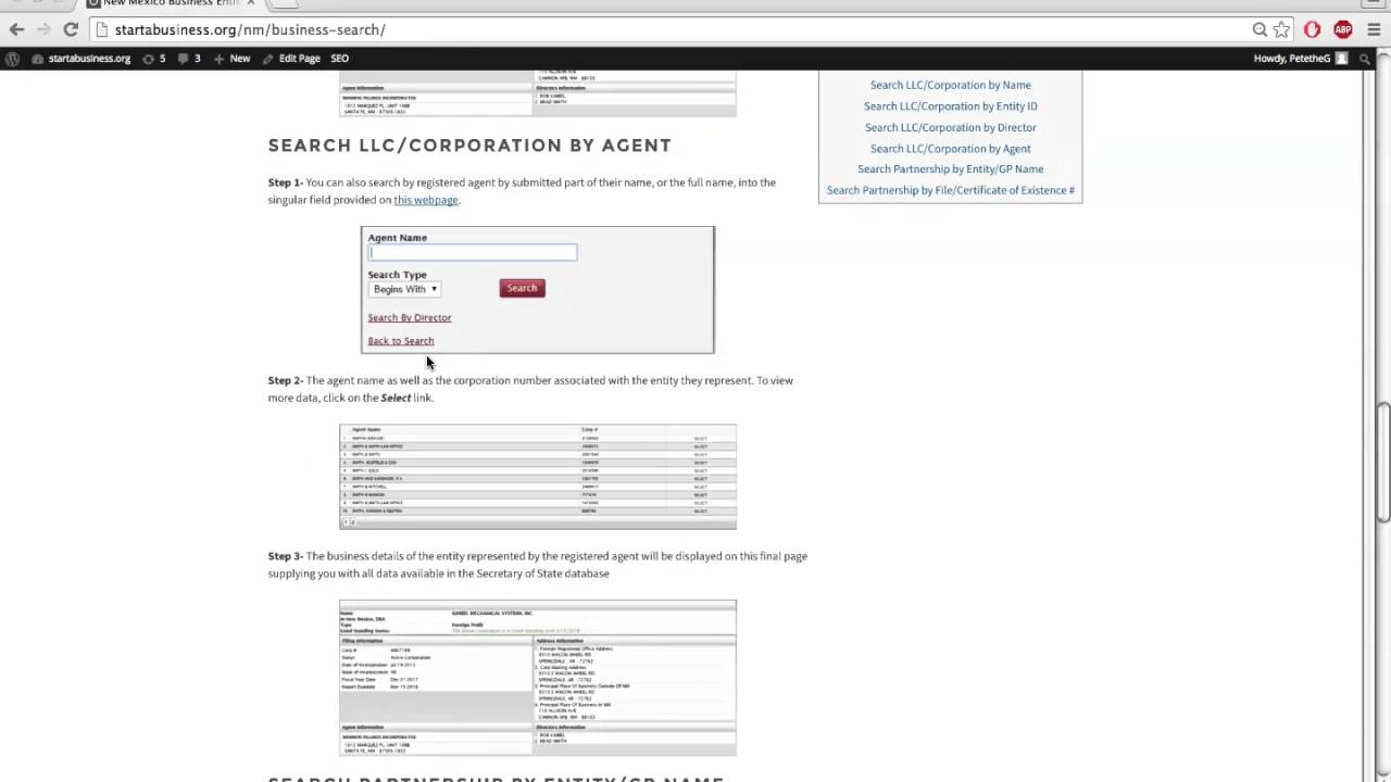 New Mexico Business Entity Search Corporation LLC Partnerships