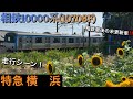 [相鉄最後の未更新車とひまわり🌻‼️] 相鉄線 相鉄10000系(10708F) 走行シーン