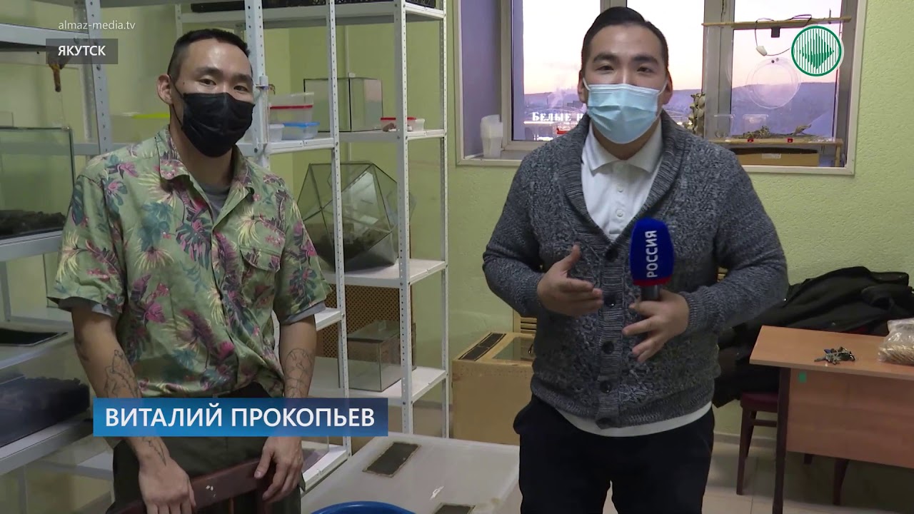 Якутские биологи хотят расщеплять целлофановые пакеты с помощью ...