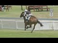 Lot 12 - MASTER OF MY FATE - IN A HUFF