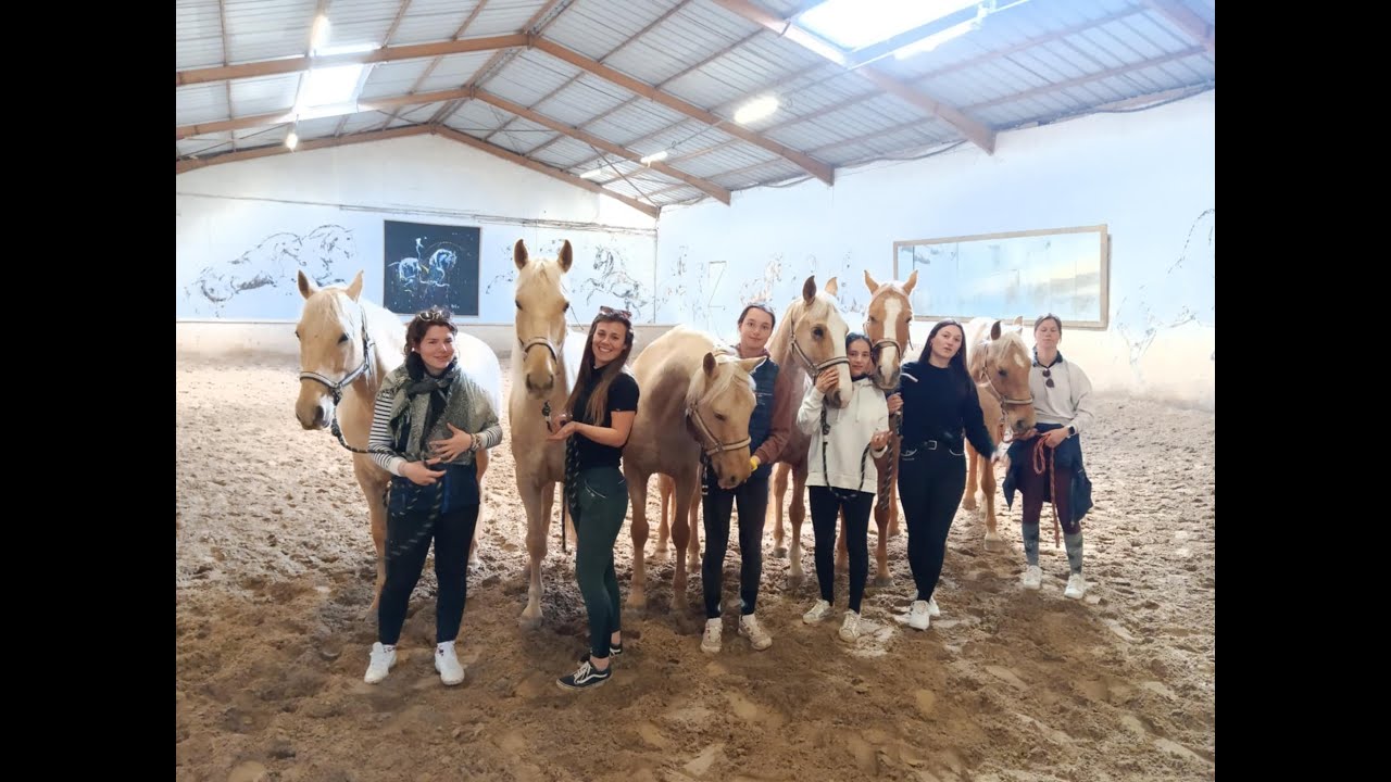 Découverte du travail en liberté avec Vincent LIBERATOR pour les CS du CFPPA d'Yssingeaux