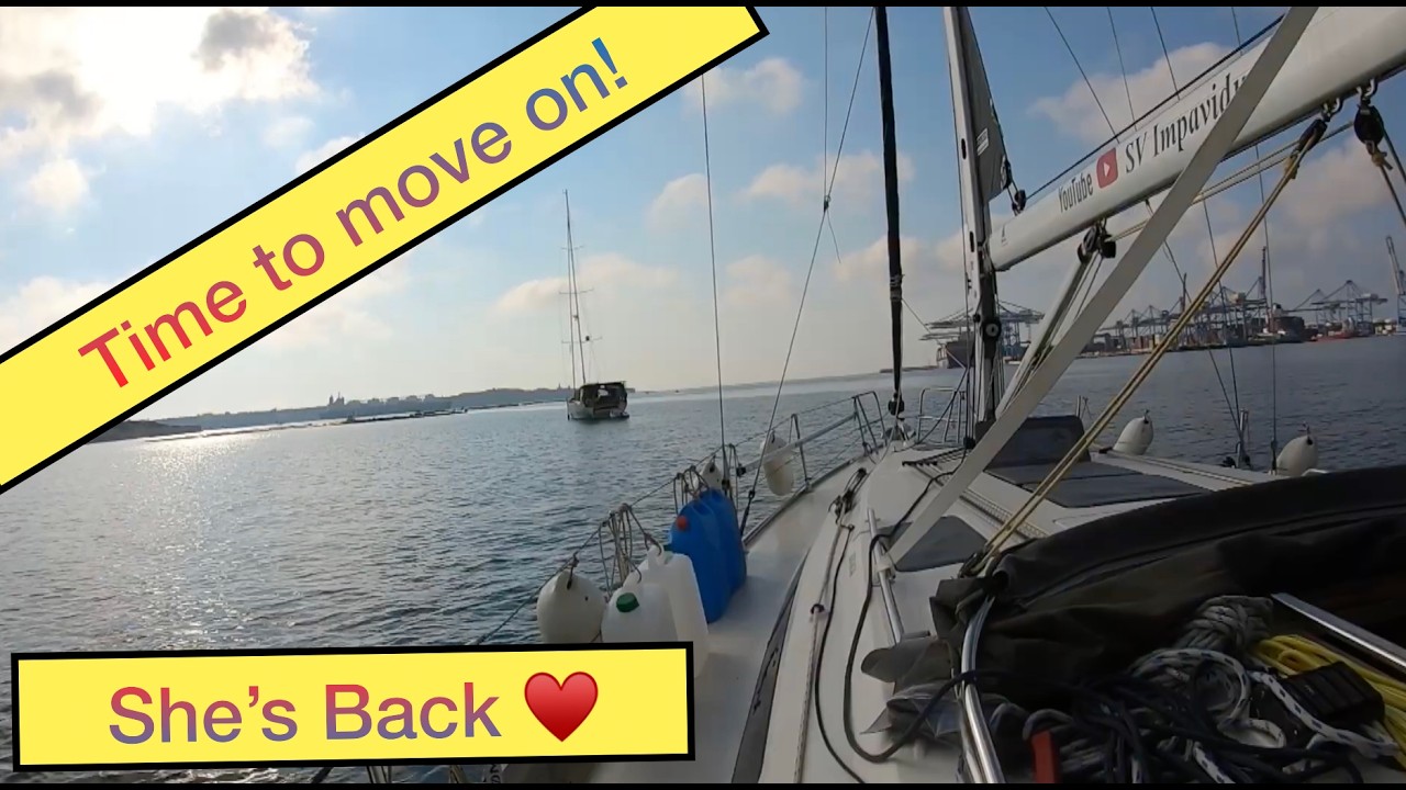 ⁣Moving on.. She's back!!  😁♥️😁