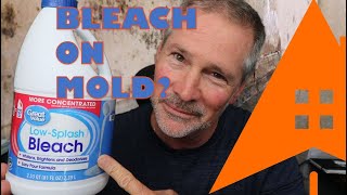 Celebrity Can I kill mold with bleach? Net Worth